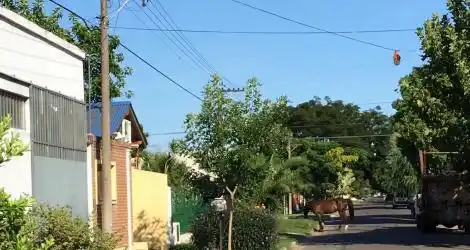 Caballo suelto