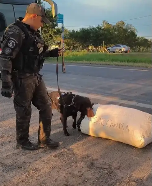 La Policía reforzó la seguridad con operativos cerrojos en rutas provinciales
