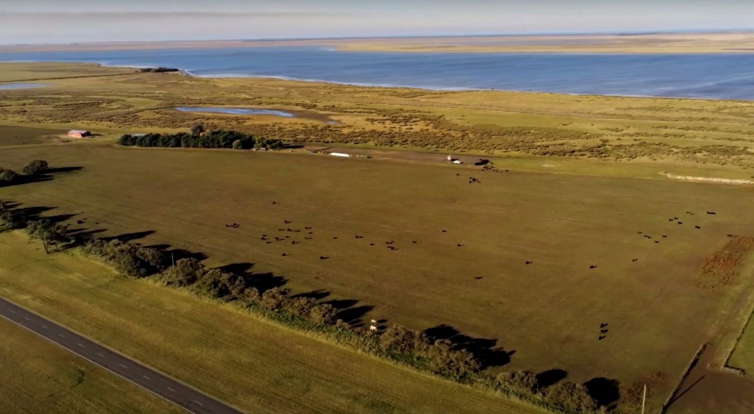 Nueva atracción turística: Qué es el “corredor verde” que se construirá entre Villa Gesell y Mar Chiquita