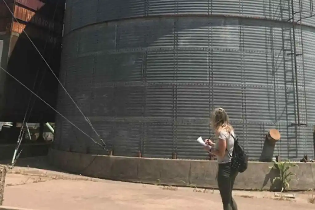 Detectaron nuevas irregularidades en el comercio de granos