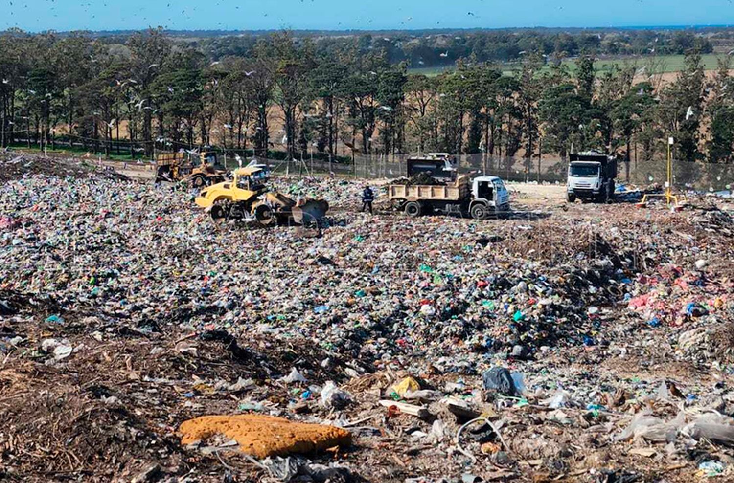 Recuperar residuos en el basural de Mar del Plata