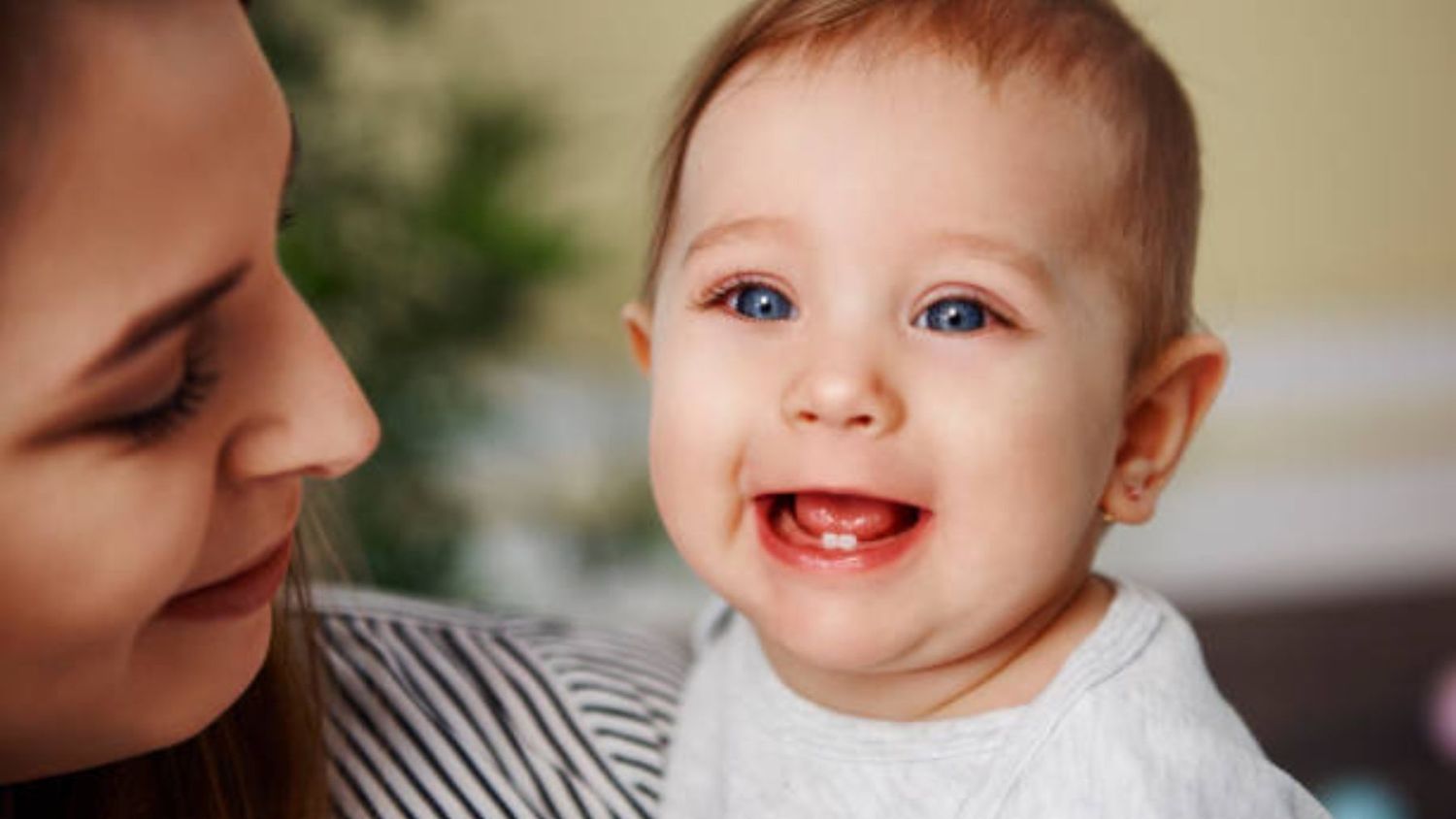 A partir de los seis meses comienzan a aparecer los primeros dientes de leche