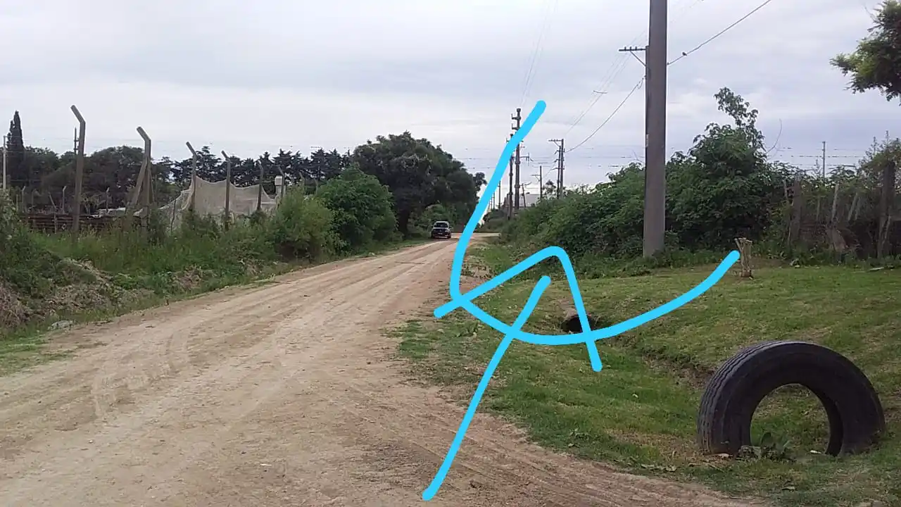 Piden luz y que poden las plantas en Calle 56