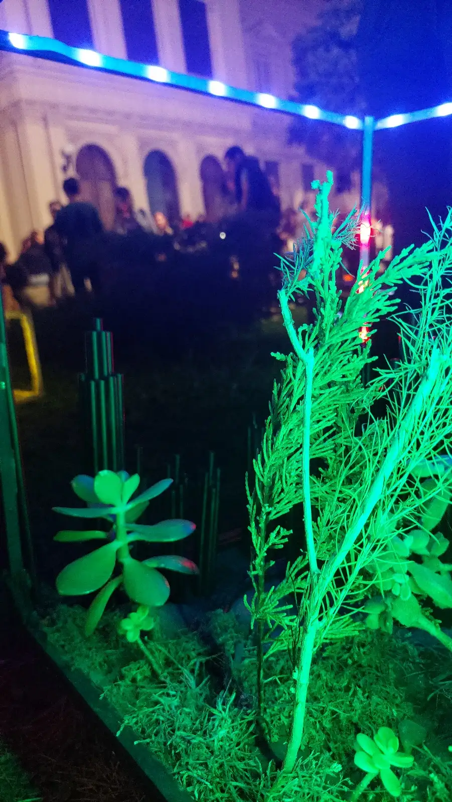 Apertura de la 7° Bienal Universitaria en el Rectorado de la UNLP.