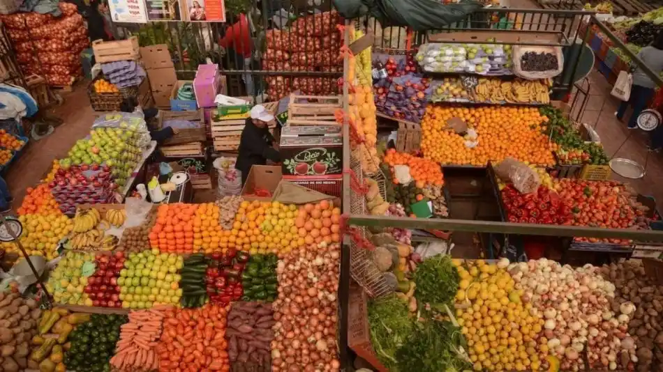 Obras en ejecución: Nuevos Mercados Concentradores en Pehuajó y Coronel Suárez