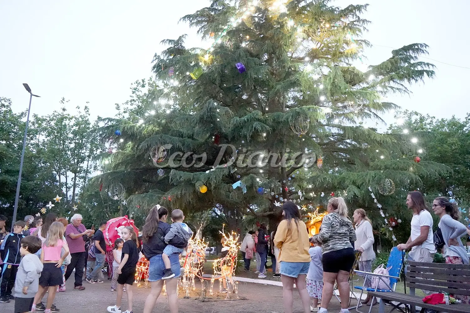 En la plaza. Se inauguró anoche el arbolito de Navidad