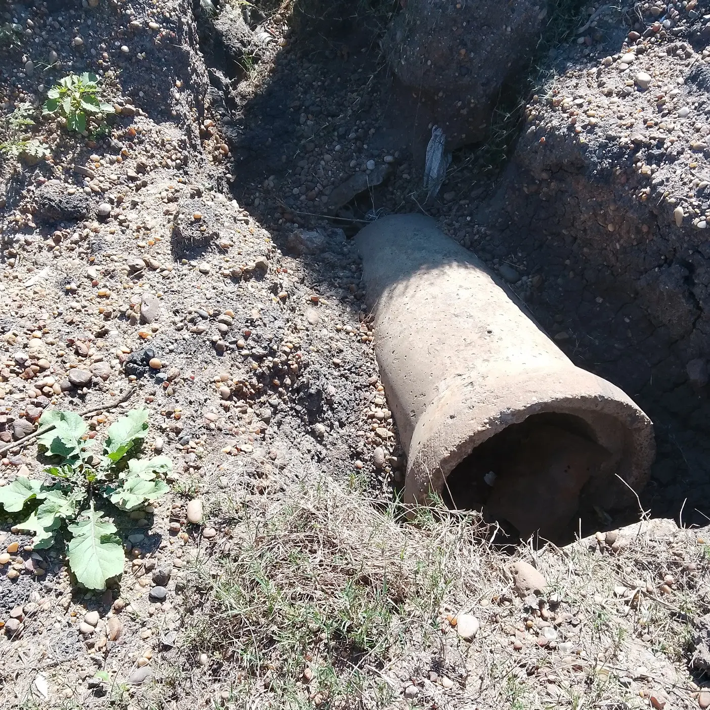 Reclamo de vecinos por el deterioro de un camino rural de Estación Yeruá