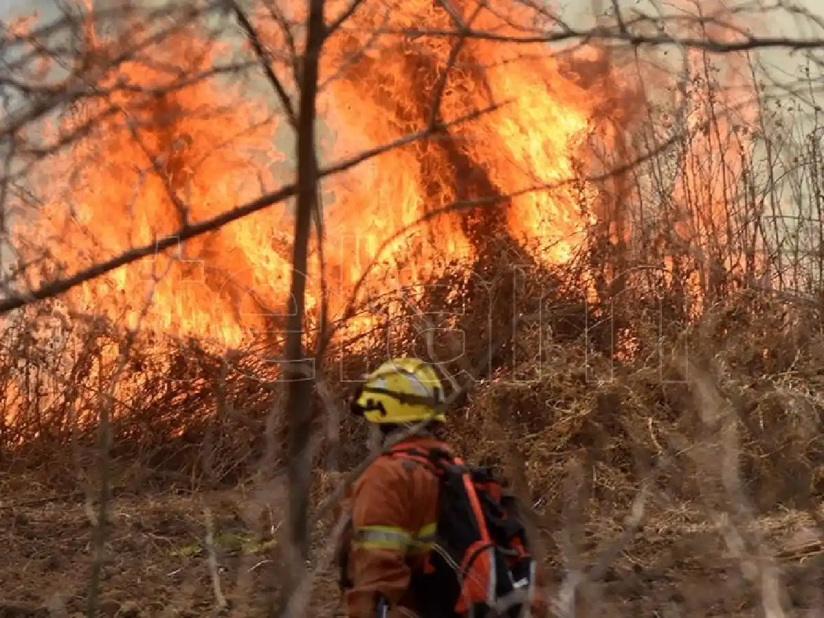 El Servicio de Manejo del Fuego dependerá del Ministerio de Ambiente y Desarrollo Sostenible