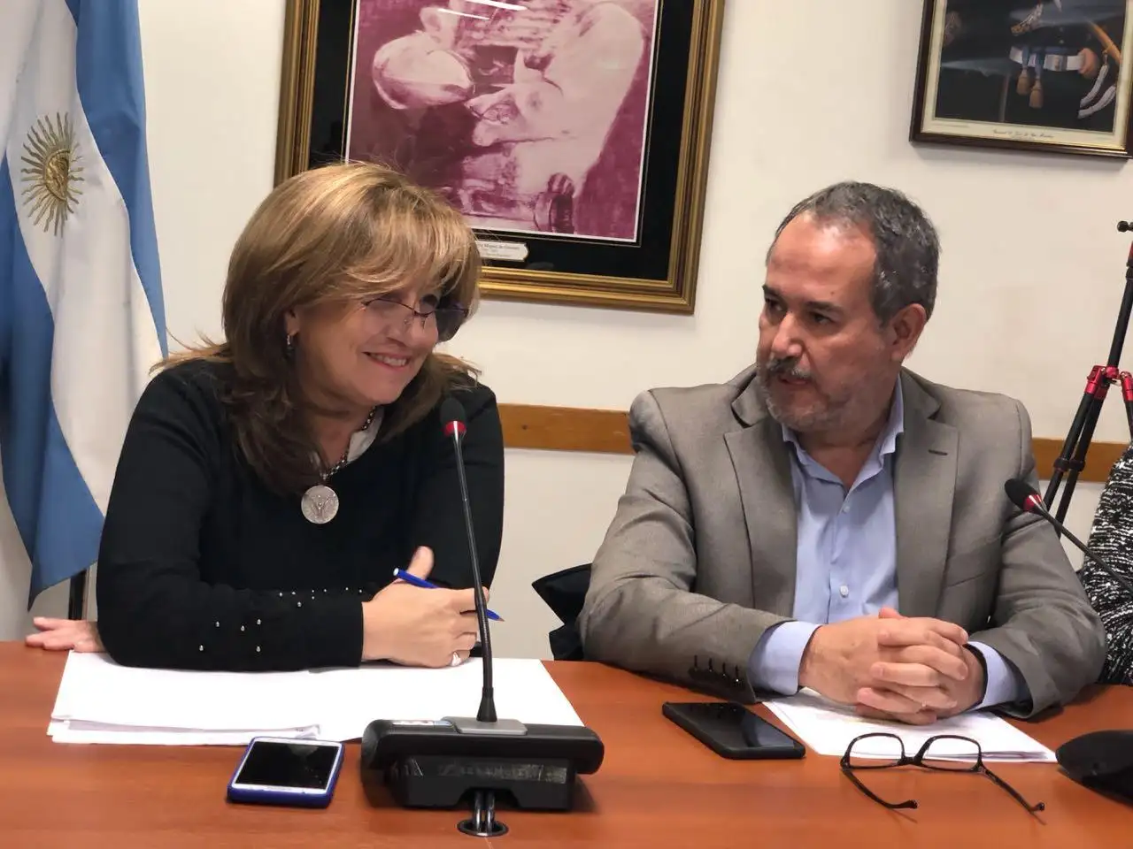 Silvina Frana: “Buscamos una ley de emergencia en adicciones”