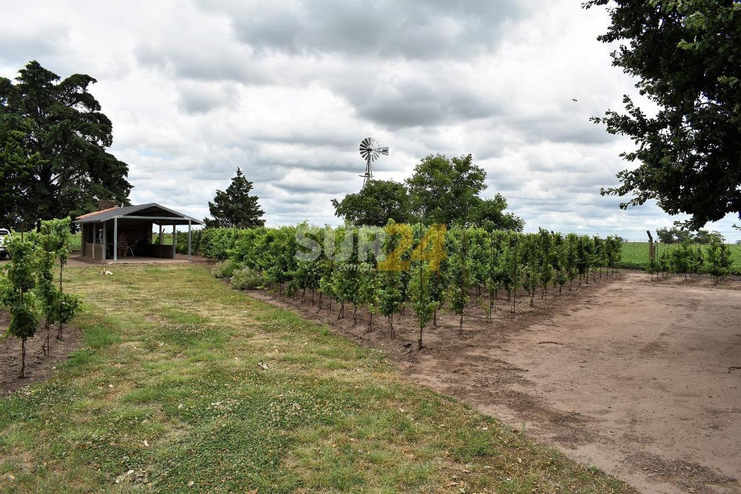 Día del Vino Argentino: Santa Fe, una tierra con potencial vitivinícola