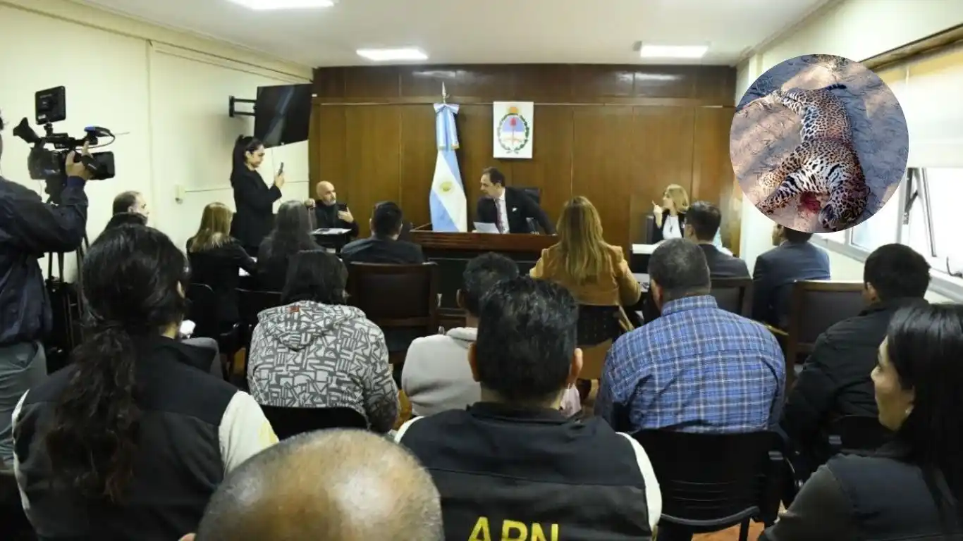 Comenzó en Formosa un juicio histórico por la caza de un yaguareté
