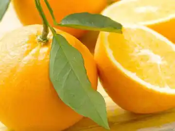 Concordia sede de la 43ª Jornada Citrícola Nacional