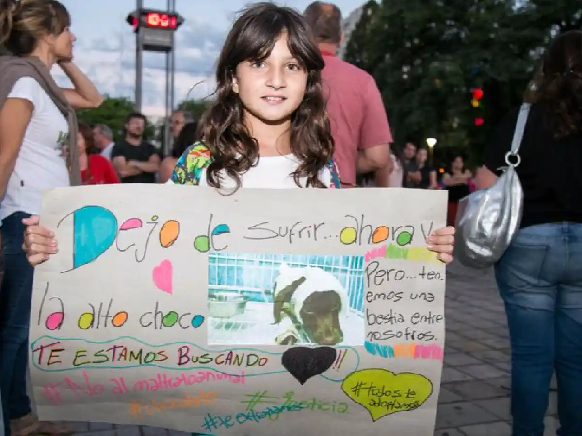 A 15 días de la muerte de Chocolate, marchan al Congreso para exigir la reforma de la ley penal de protección animal