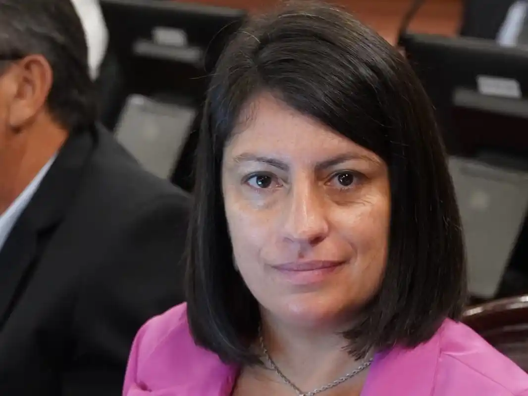 Carola Laner: "Gustavo Hein tuvo el coraje y el valor de traer prestigio y transparencia al Poder Legislativo"