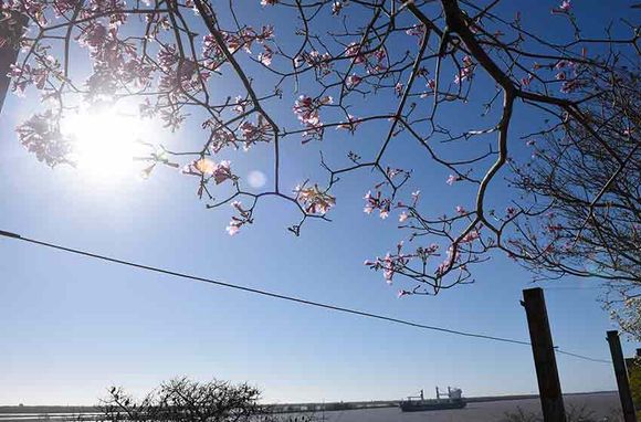 Domingo despejado en Rosario para continuar con el fin de semana largo