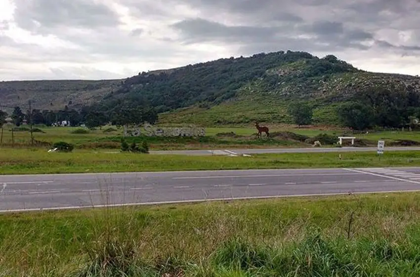 Bomberos rescataron a una pareja perdida en la zona de La Serranita