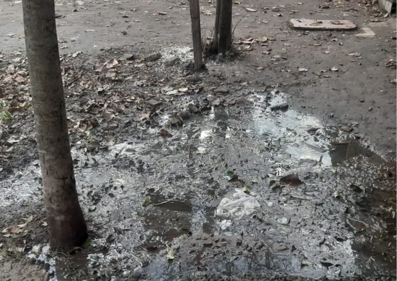 Villa Igoillo: toda la cuadra tiene las zanjas tapadas