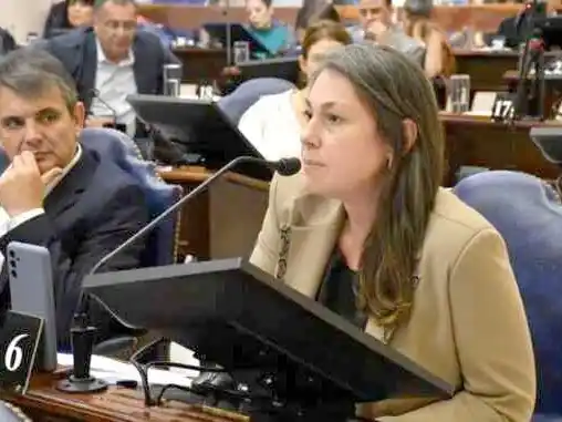 Diputados: Elección de autoridades y 
escándalo por las ausencias injustificadas