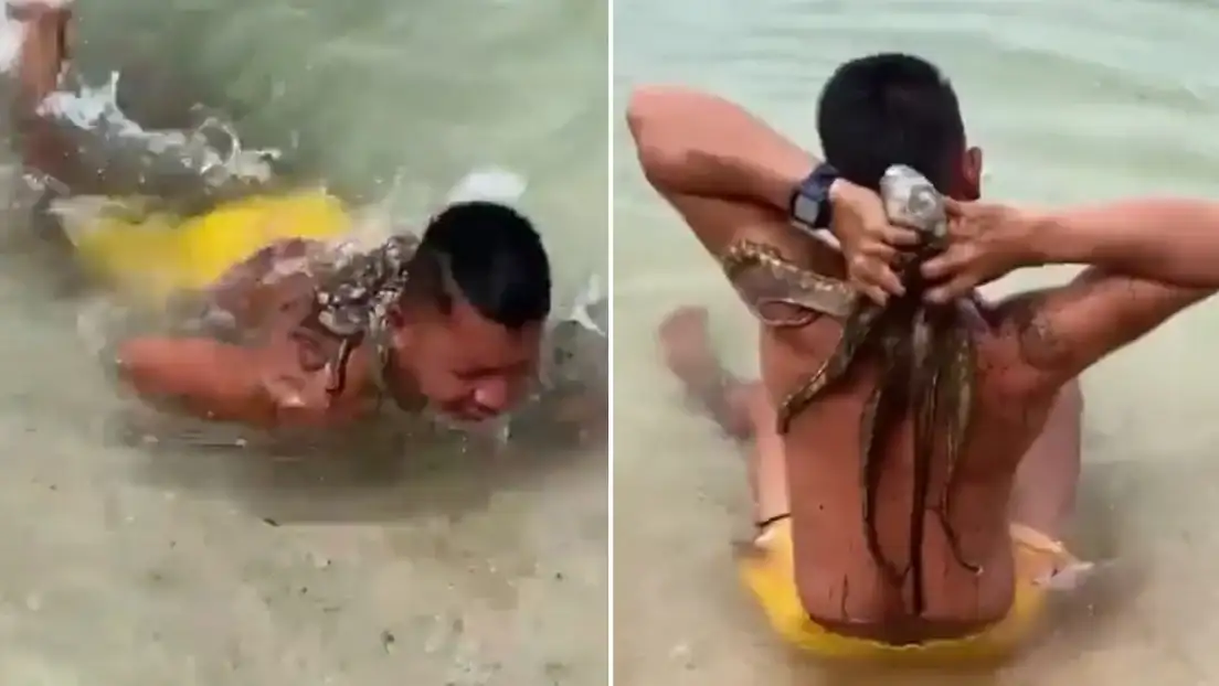 El pulpo permaneció aferrado a la espalda del hombre mientras este continuaba nadando.