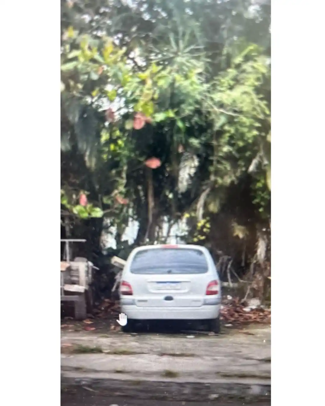 asesino del argentino muerto en Brasil  4