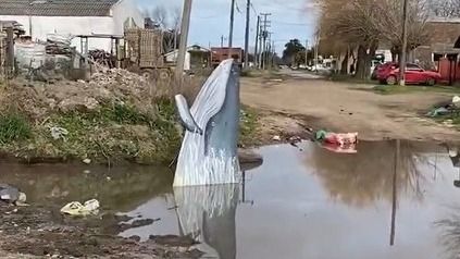 Un reclamo insólito en Miramar: vecinos pusieron una 'ballena' en un bache para protestar por las calles intransitables