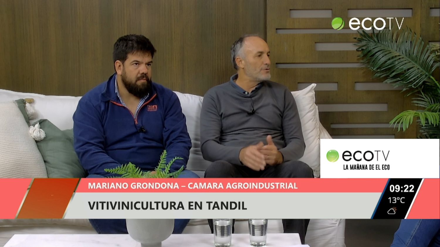 El crecimiento de la vitivinicultura en Tandil