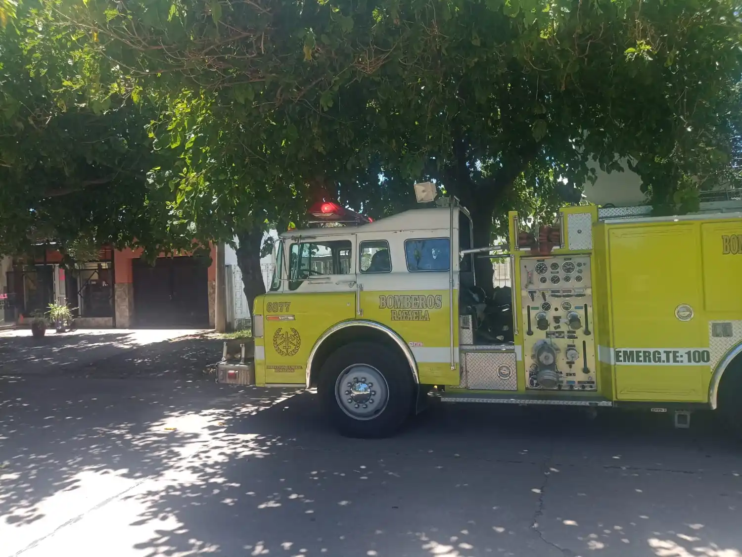 rescate gato bomberos - 2