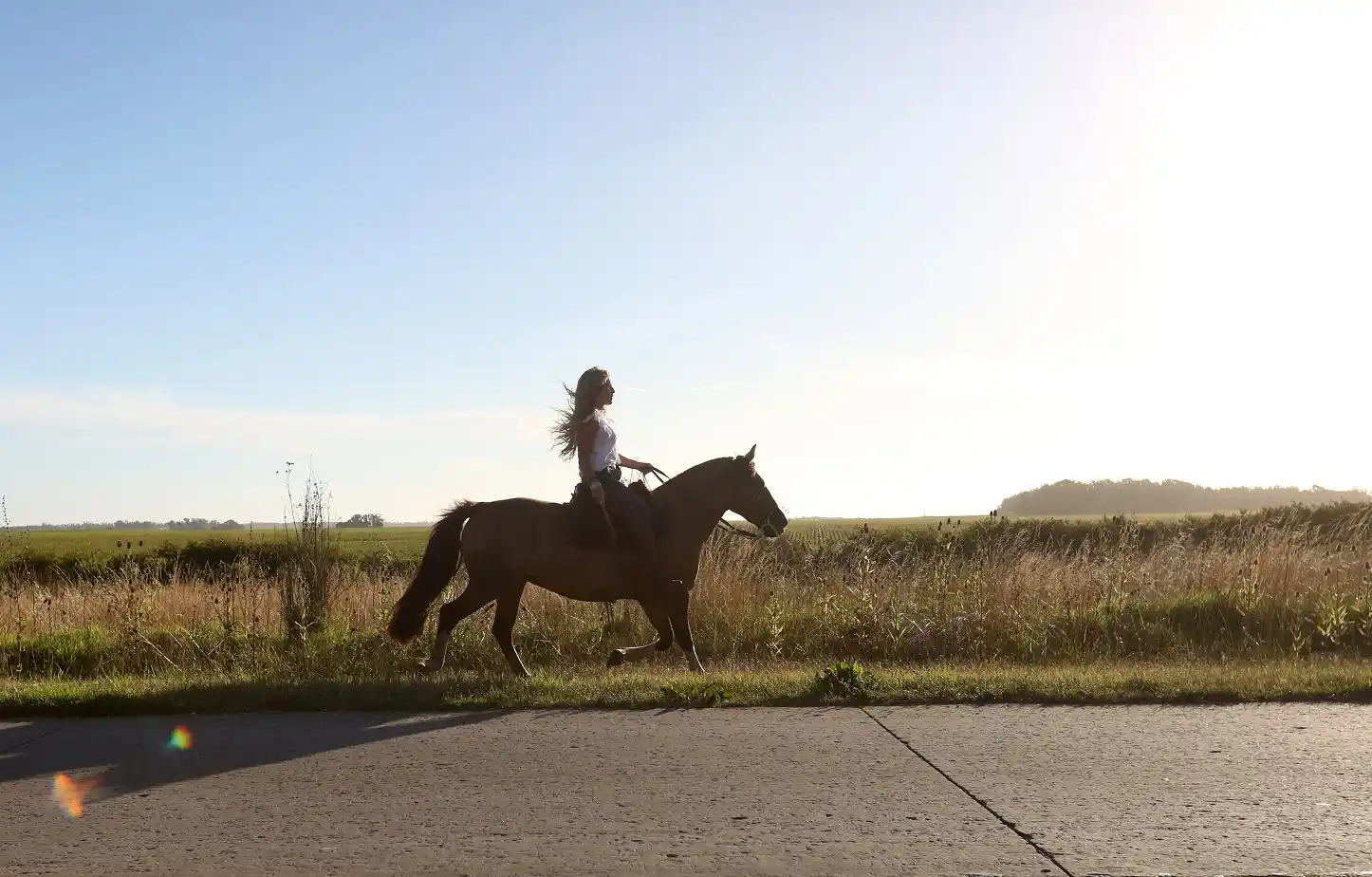 Chapadmalal: otra de las bellezas de Mar del Plata