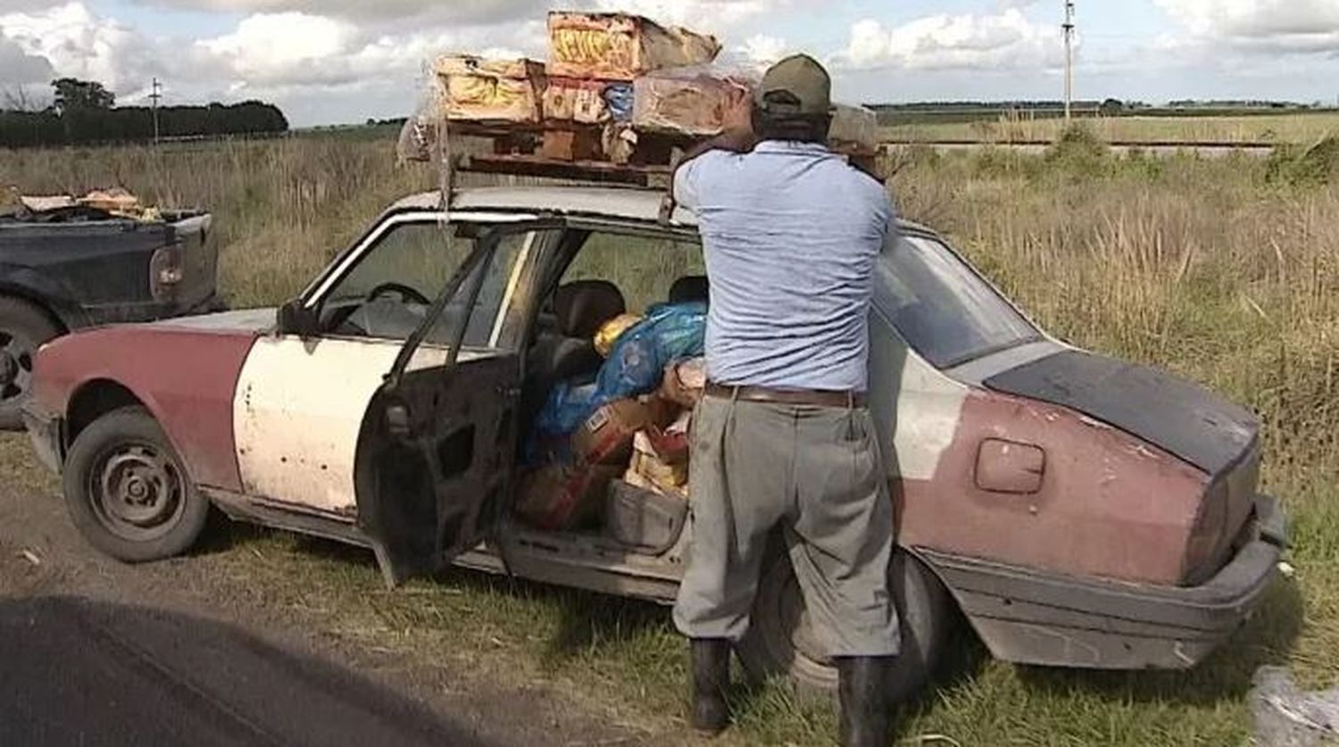 Volcó un camión con pollos de Entre Ríos: los lugareños se llevaron toda la mercadería