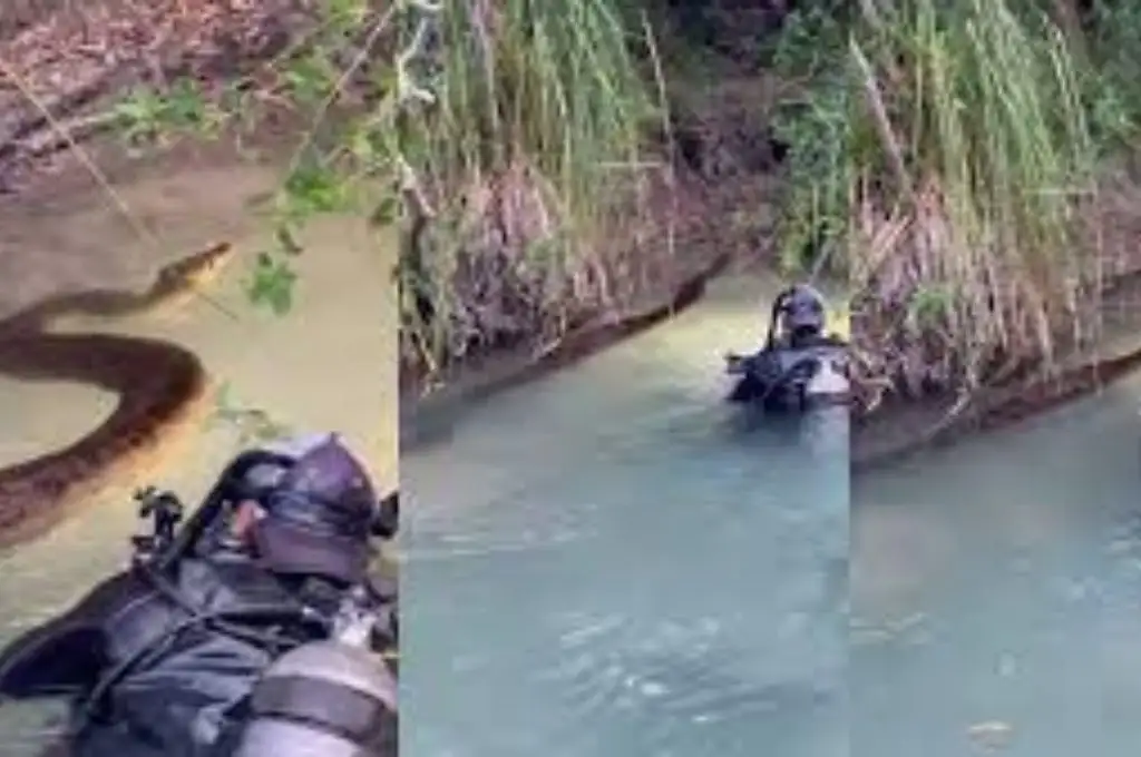 El récord fue realizado en la última expedición de Eli Martínez, en Bonito (MS) y recientemente compartido en las redes sociales.