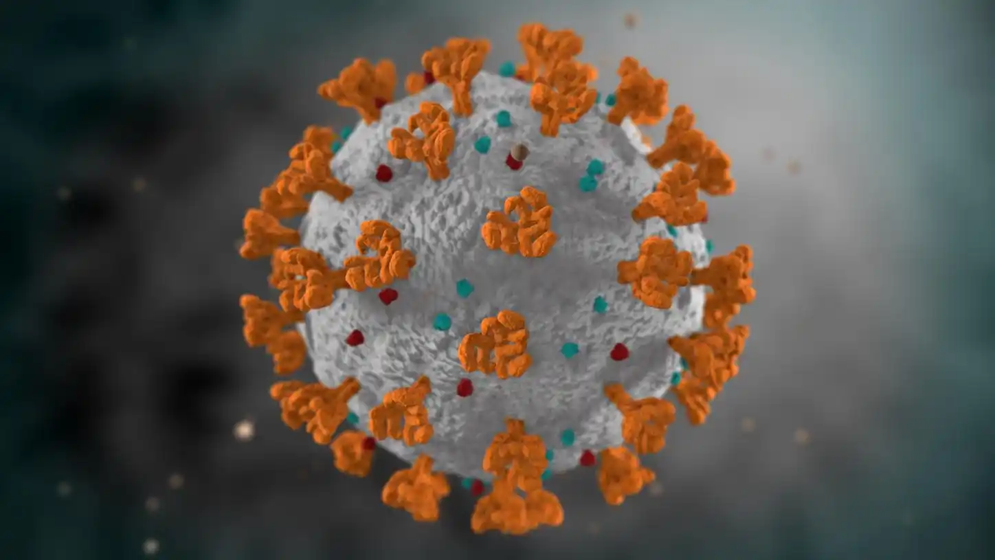 #Coronavirus Parte 17 de noviembre de 2021: 1.622 casos y 44 muertes informadas en las últimas 24 horas
