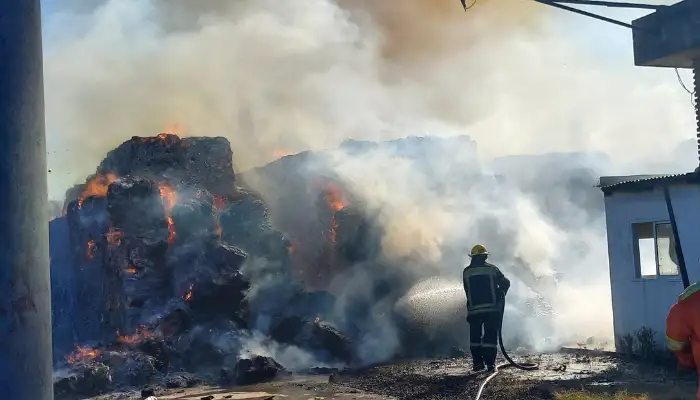 Incendio Celulosa San Pedro