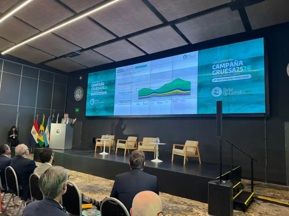 El maíz y el girasol pican en punta en la gruesa 2025/26