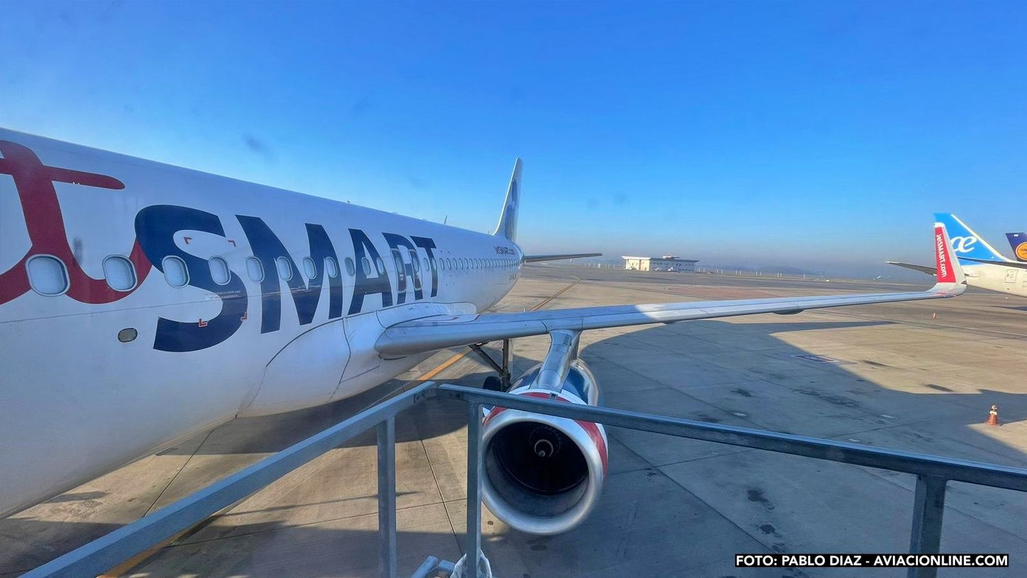 En el Dia Internacional del Gato, JetSMART lanza promoción para viajar con tu gato por solo $1