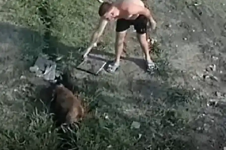 VIDEO | Un hombre asesinó al perro que mordió a su mascota