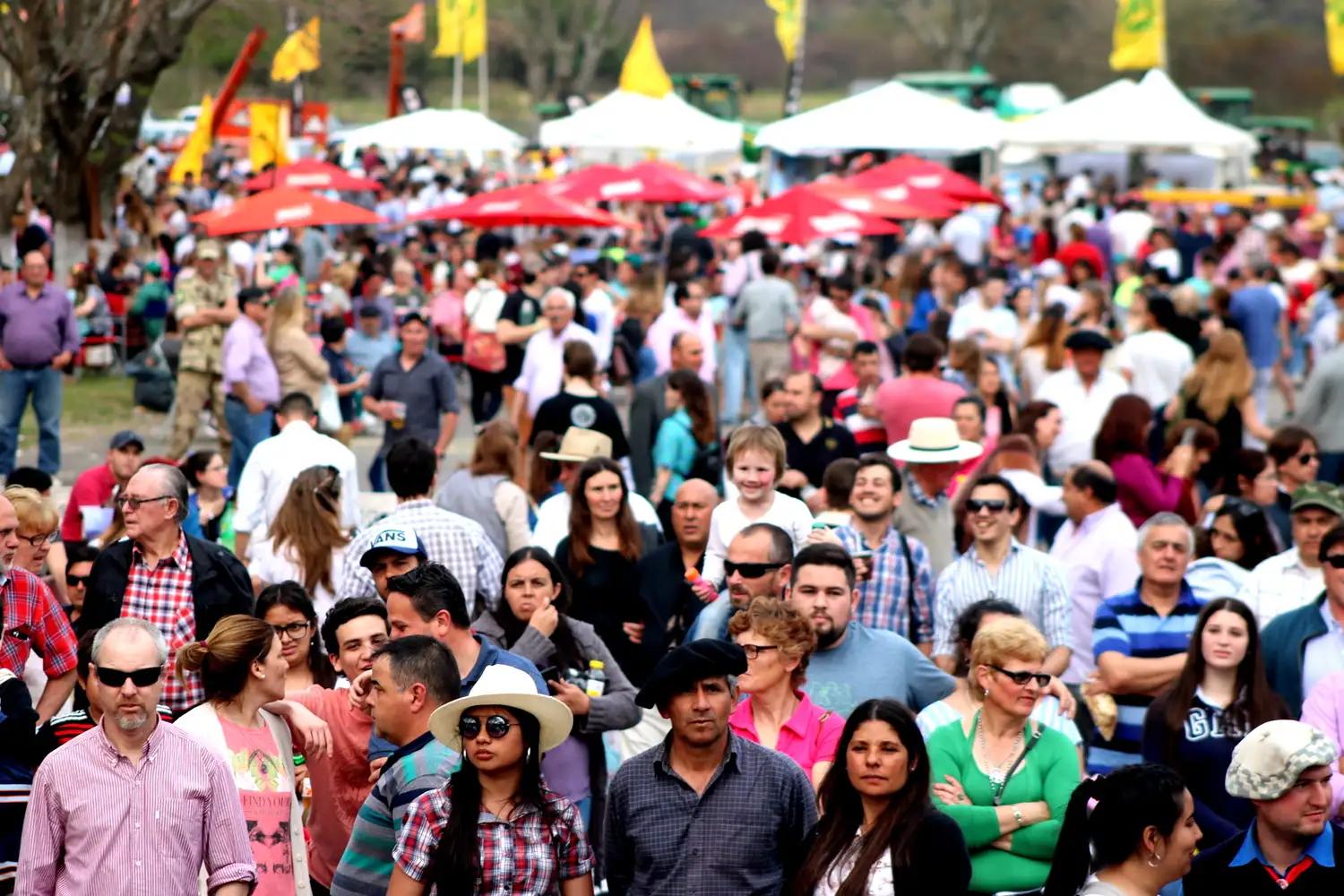 La Sociedad Rural ya trabaja en la organización de la expo de septiembre 