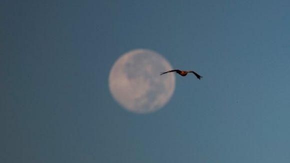 LUNA DE HIELO O LUNA FRÍA: así se vio en Venezuela (+Fotos)