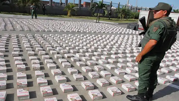 DESMANTELAN DOS CAMPAMENTOS en el Zulia: incautan 5 toneladas de cocaína procedente de Colombia