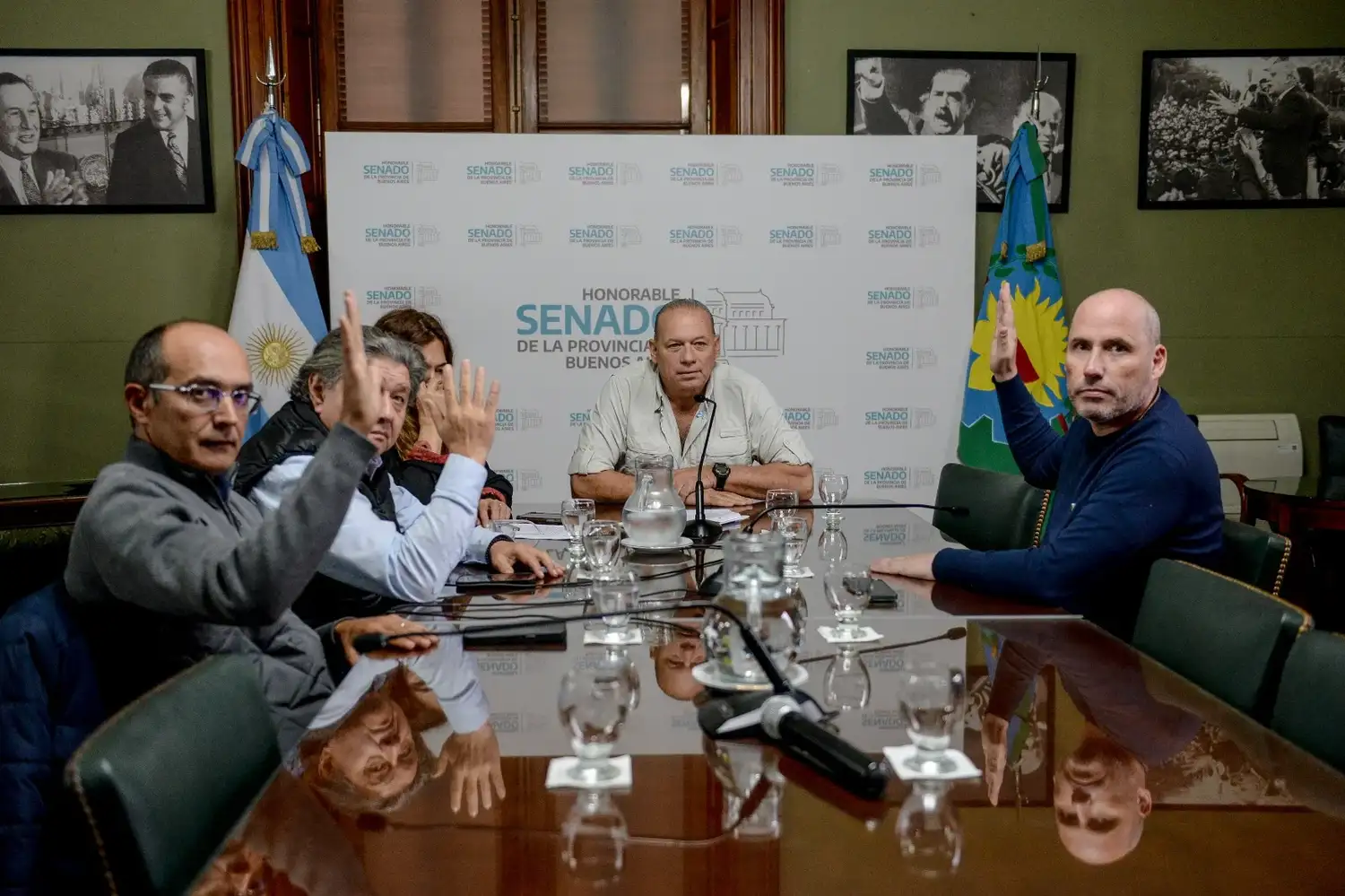 senado