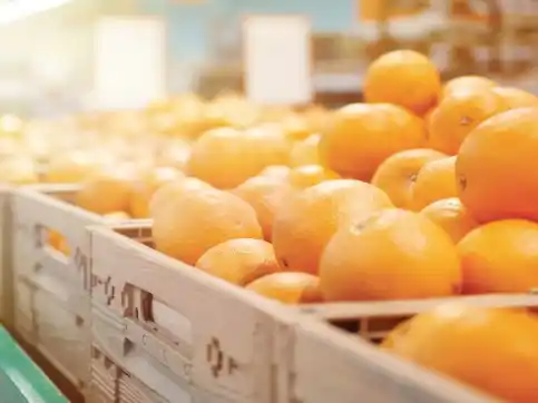 Productores y técnicos se preparan para la 43ª Jornada Citrícola Nacional