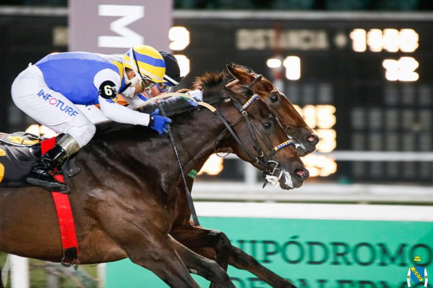 Jueves 25/1: Actividad Hipódromo de Palermo