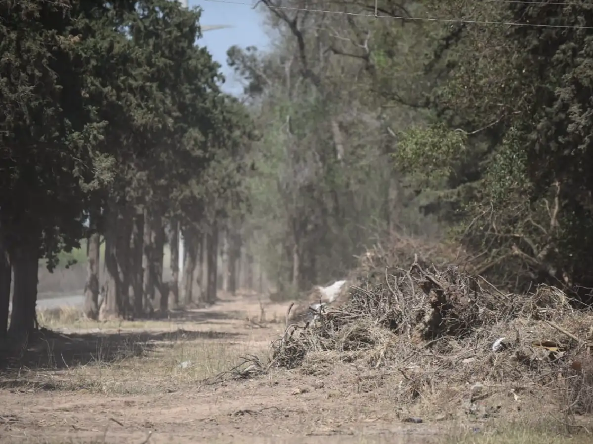  Juntan firmas para preservar el Circuito del Bosque ante el avance de loteo del Parque Industrial