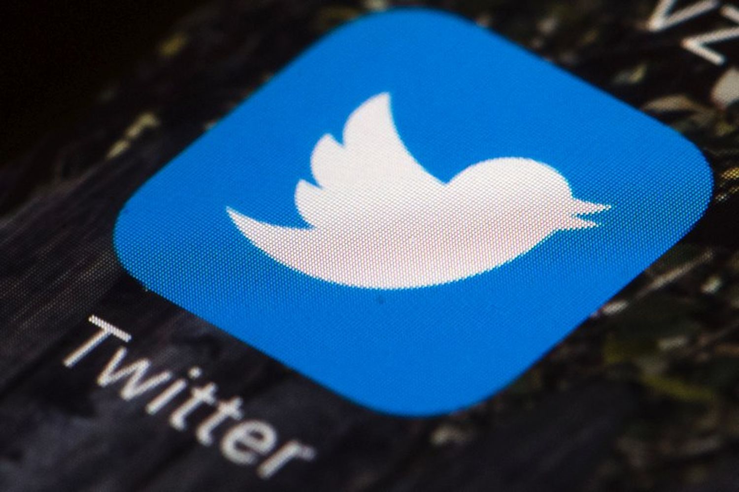 La Justicia puso límites a los escraches en Twitter: Feminista deberá pagar $100 mil por difamación