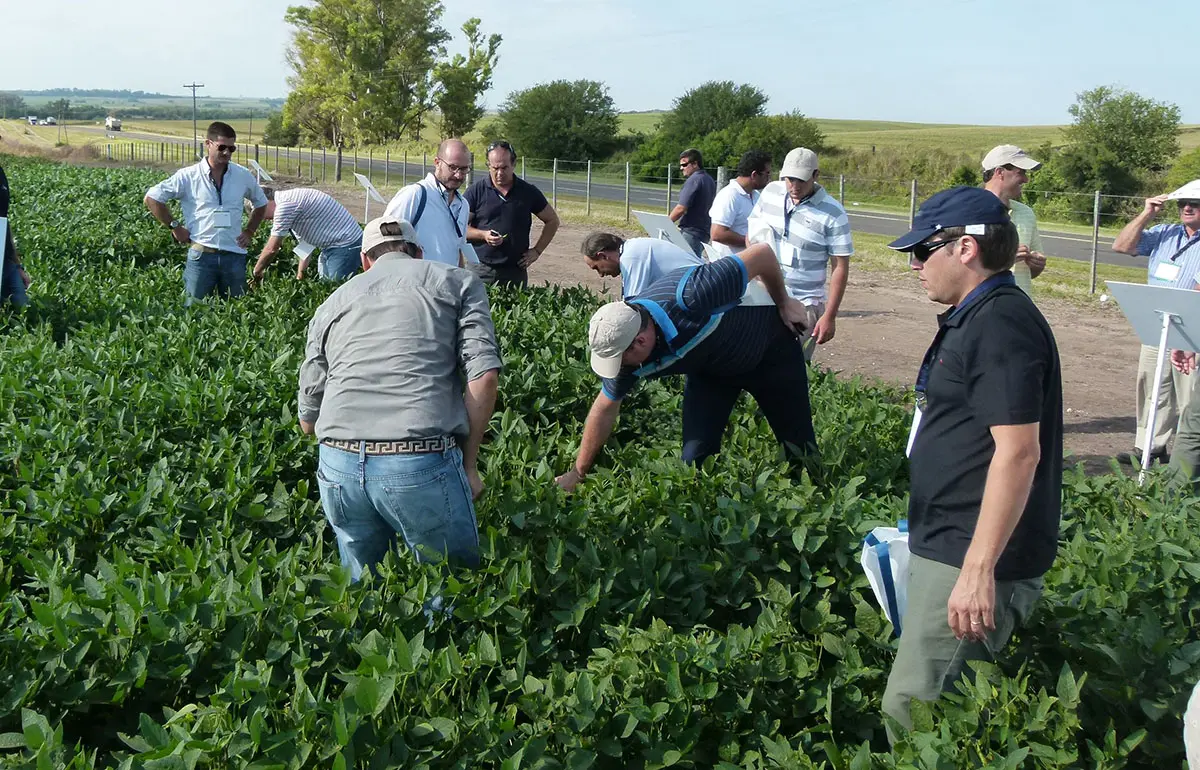 La estrecha relación entre los ingenieros agrónomos y la “Ley de agroquímicos”