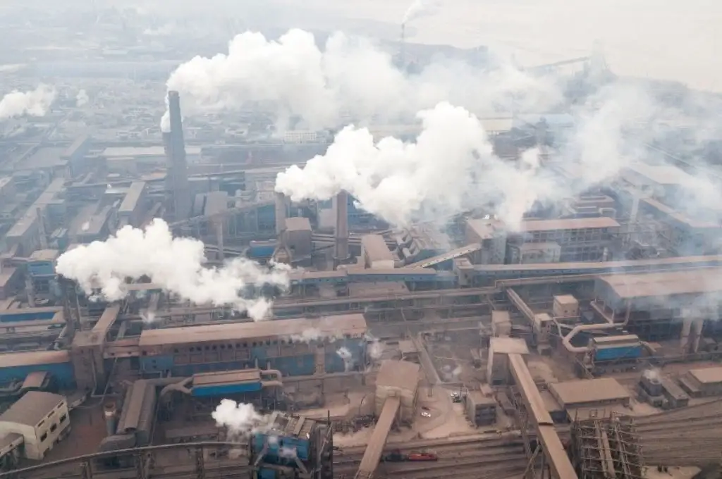 Alemania impulsa una alianza internacional contra el cambio climático