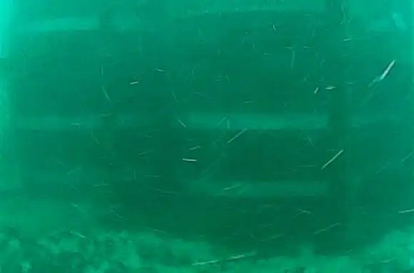 Hundieron cuatro barricas de cerveza para que se añejen en el mar