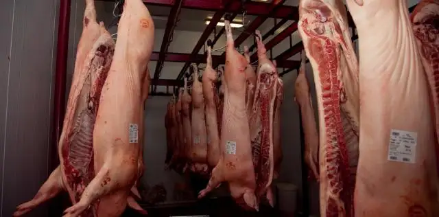 Finalmente, el acuerdo para que Argentina pueda exportar carne de cerdo a China se firmará este mes