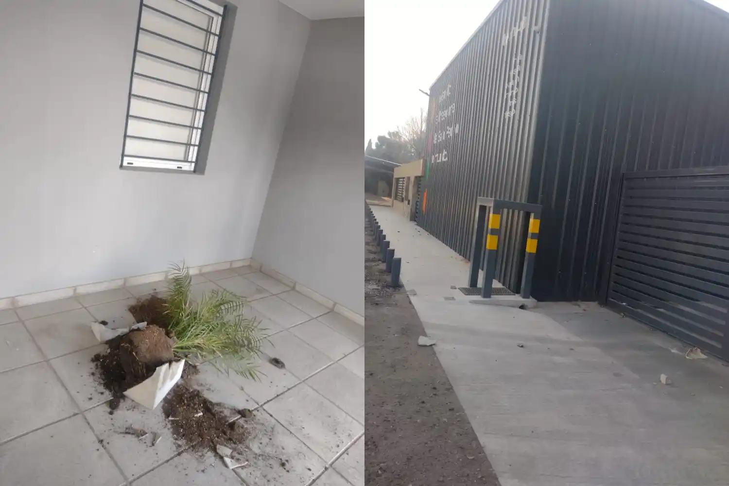 Río Tala: detenido tras ingresar a empresa de empaque y provocar daños