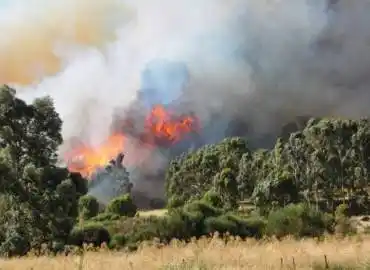 Incendio en Sierra de la Ventana: Evacuados y graves daños en la zona serrana