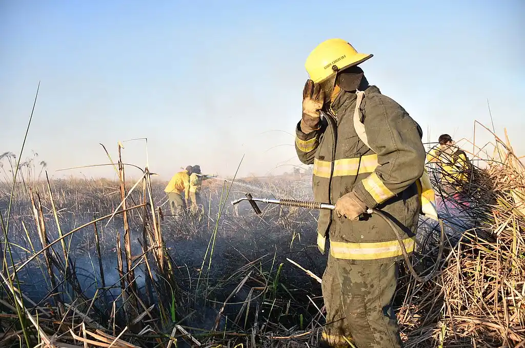 Quema de pastizales: “Estamos viviendo un verdadero ecocidio”